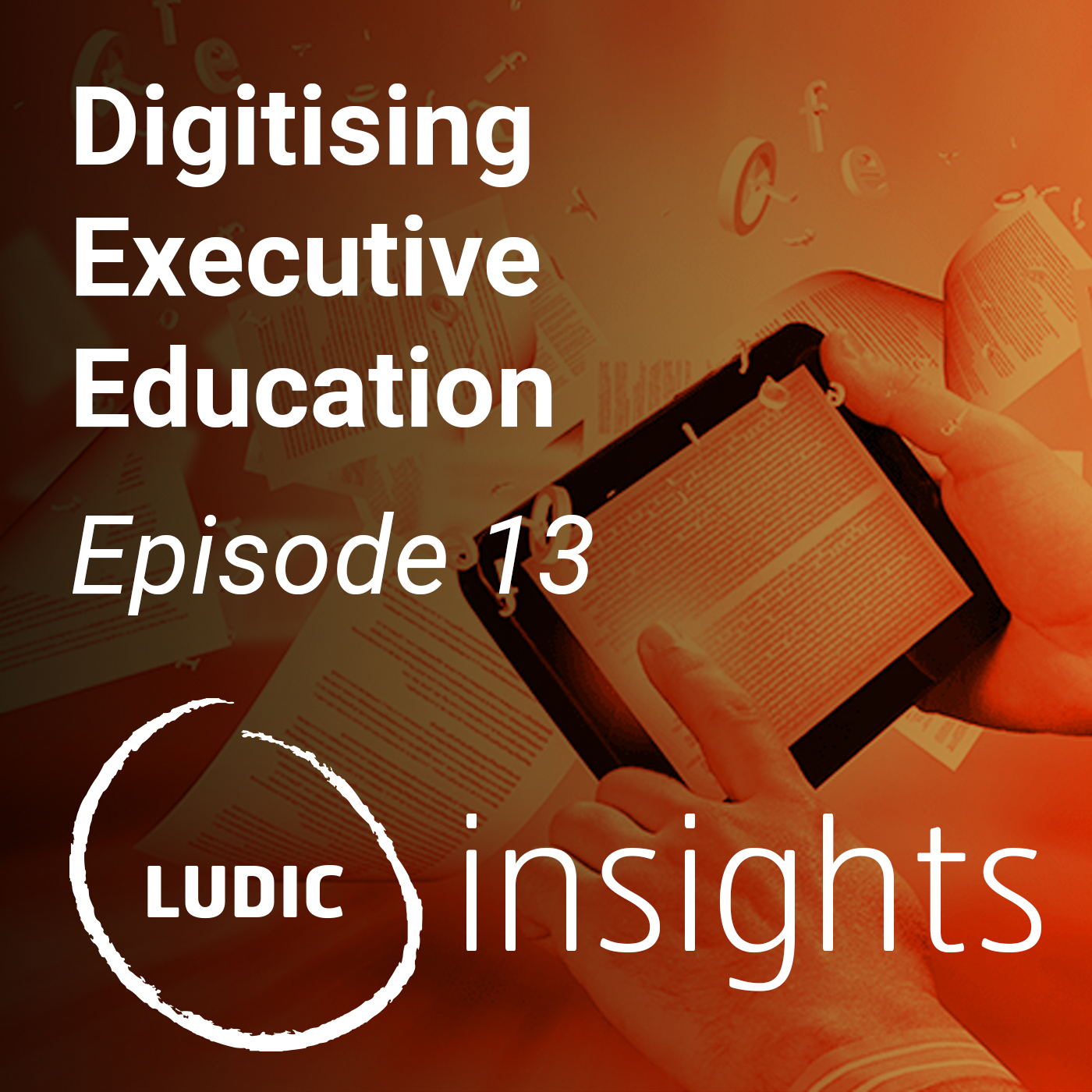 191217_linkedin_podcast_art_Episode_13_SQUARE Insights, Subscribe and listen to the Ludic Consulting Podcast - Ludic Consulting